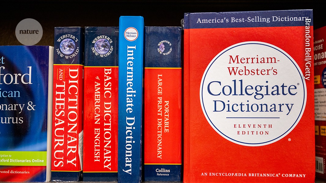 Tecnología: El vocabulario de la IA entra al diccionario