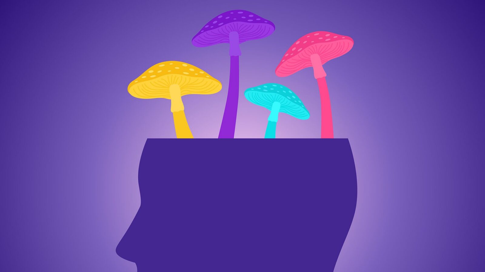 Neuro: Psilocibina tras golpes leves, indicios en ratas