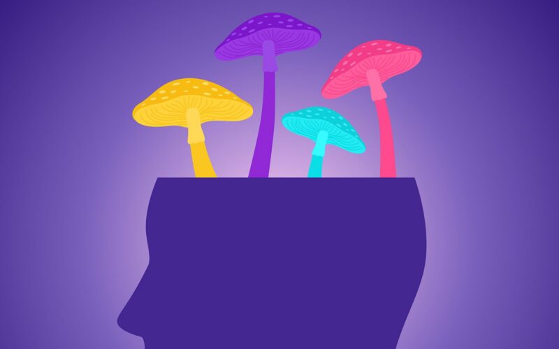 Neuro: Psilocibina tras golpes leves, indicios en ratas