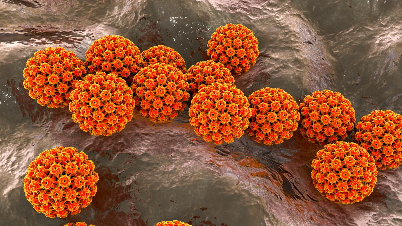 Salud: Las infecciones están detrás de uno de cada ocho cánceres