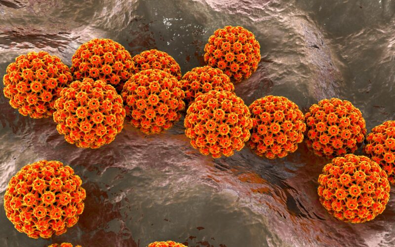Salud: Las infecciones están detrás de uno de cada ocho cánceres