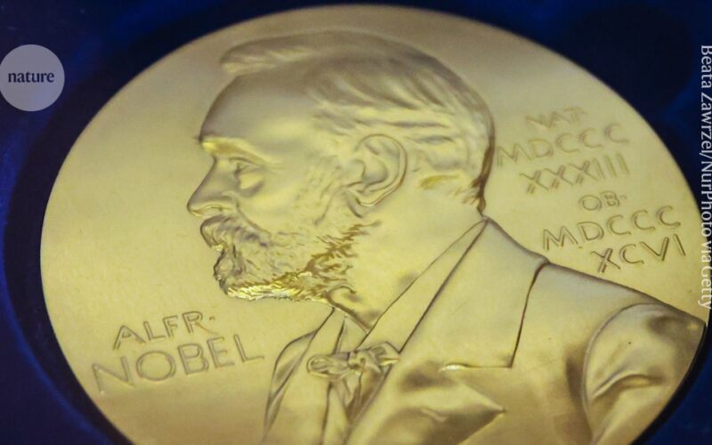 Neuro: El Nobel premia el control neuronal con luz