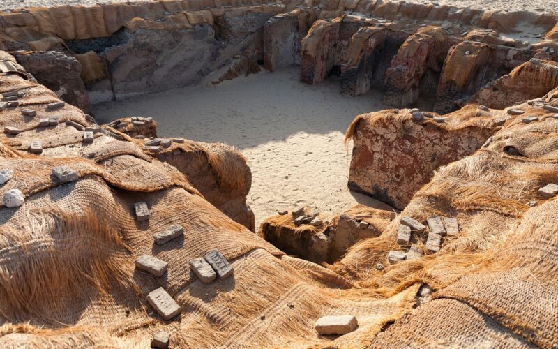 Arqueología: Nuevos indicios de sacrificios humanos junto a faraones