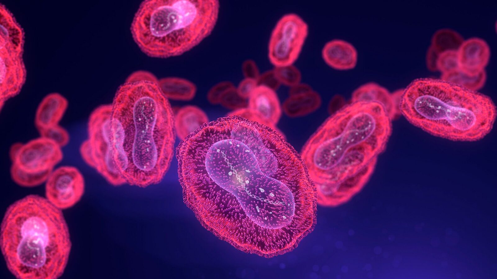 Salud: La mpox sigue circulando en Estados Unidos