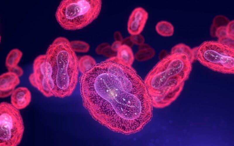 Salud: La mpox sigue circulando en Estados Unidos