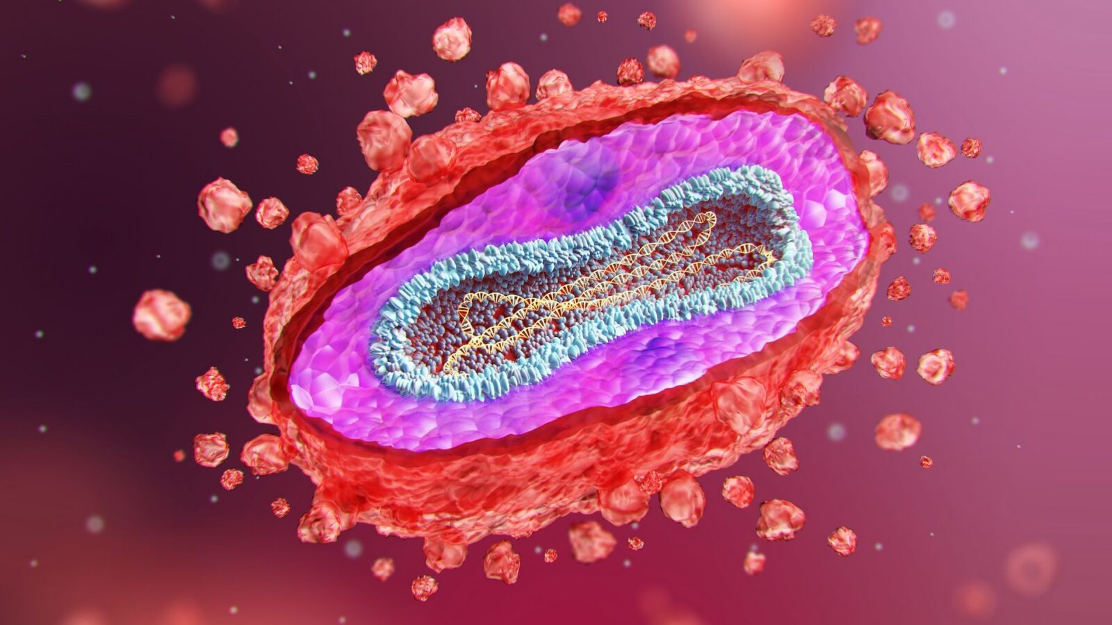 Salud: Qué saber sobre mpox, síntomas y vacunas