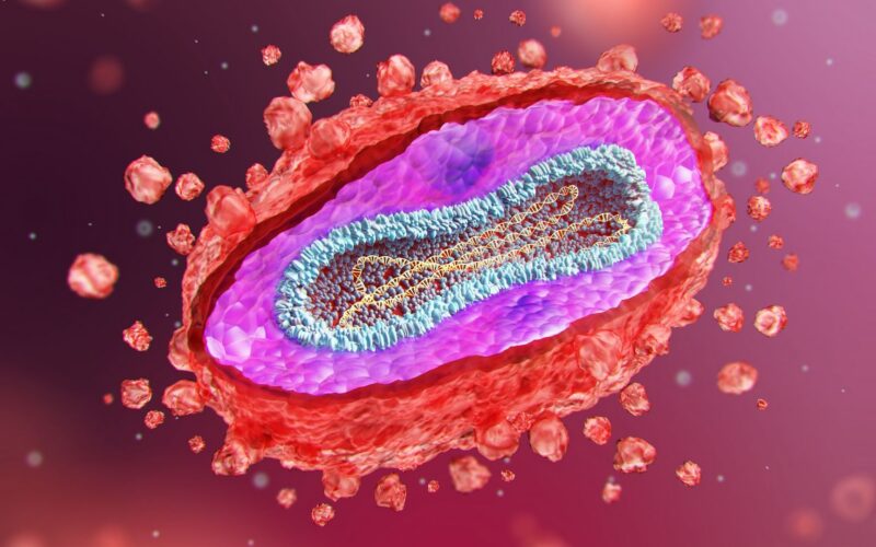 Salud: Qué saber sobre mpox, síntomas y vacunas