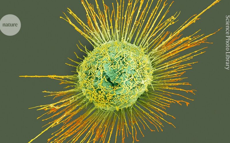 Salud: La gripe apunta a un inicio temprano