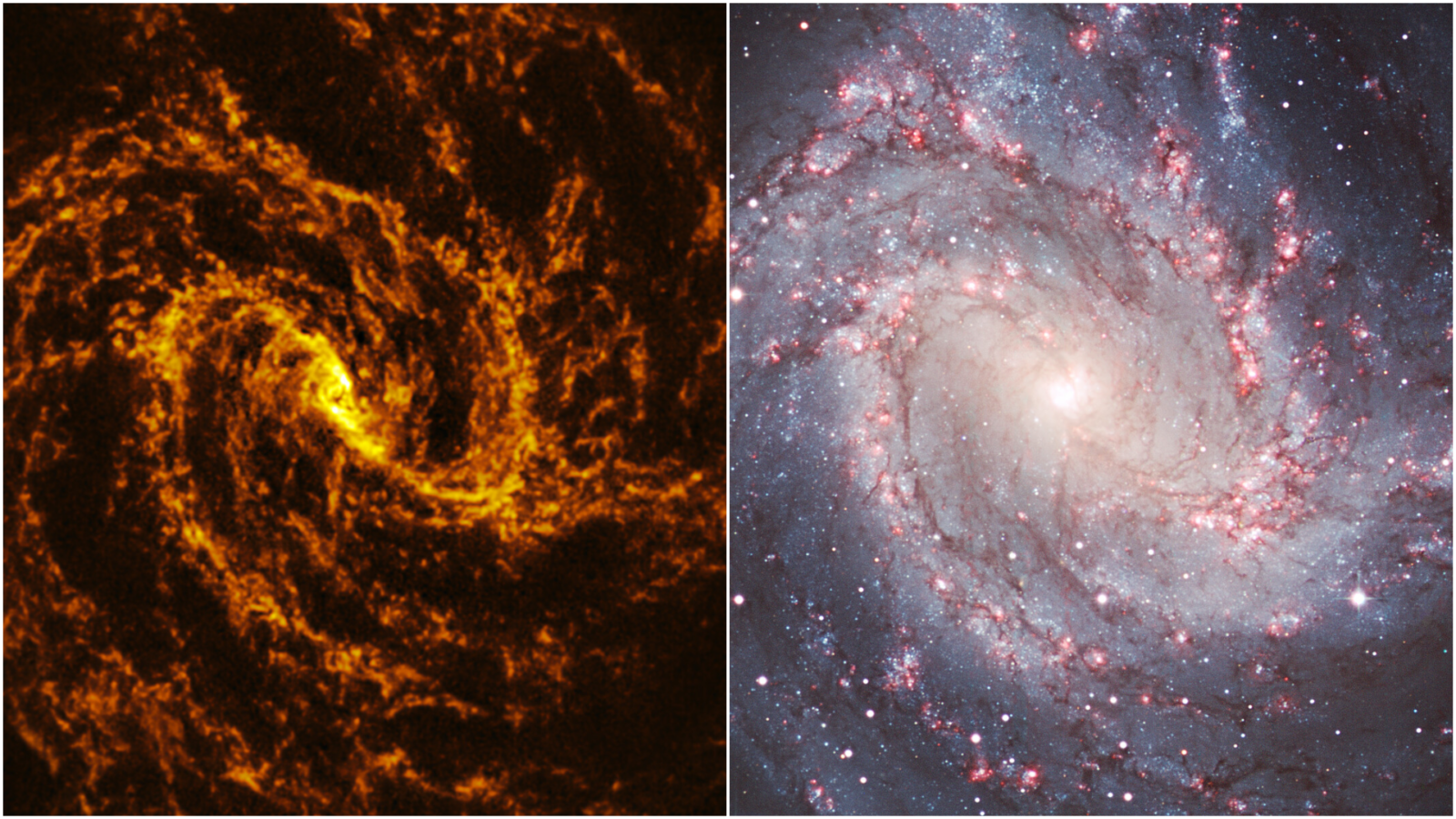 Espacio: Una galaxia, dos vistas que parecen opuestas