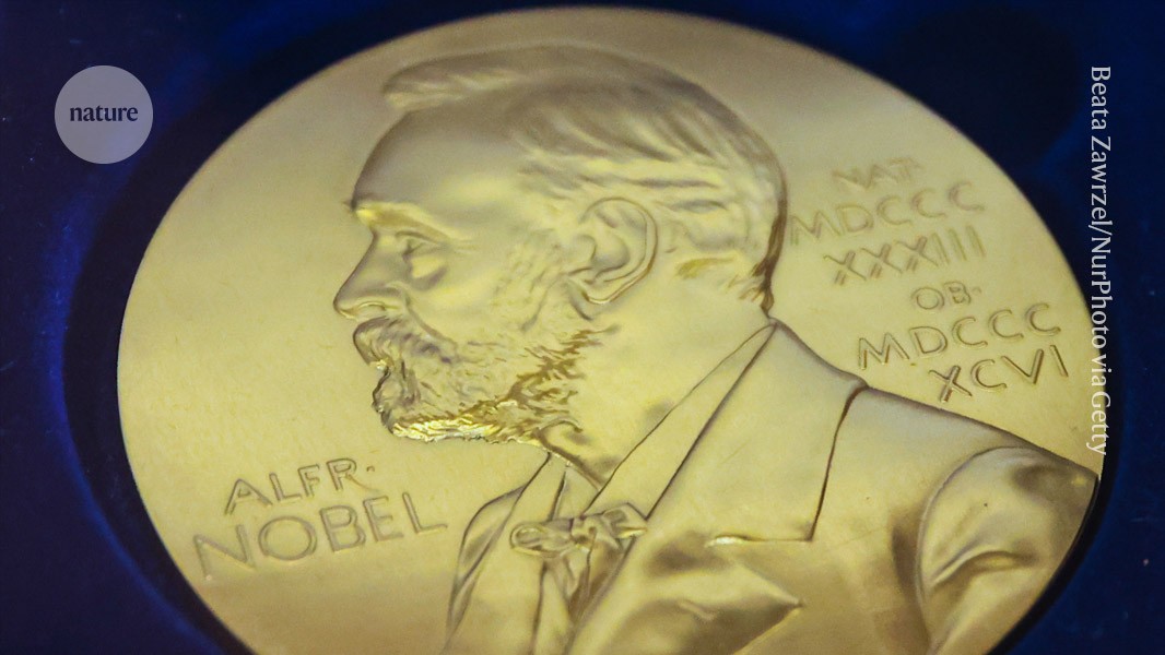Química: Nobel por explicar el predominio de moléculas espejo