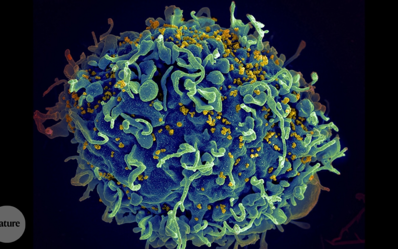 Investigación: Cómo eligieron los artículos sobre enfermedades infecciosas