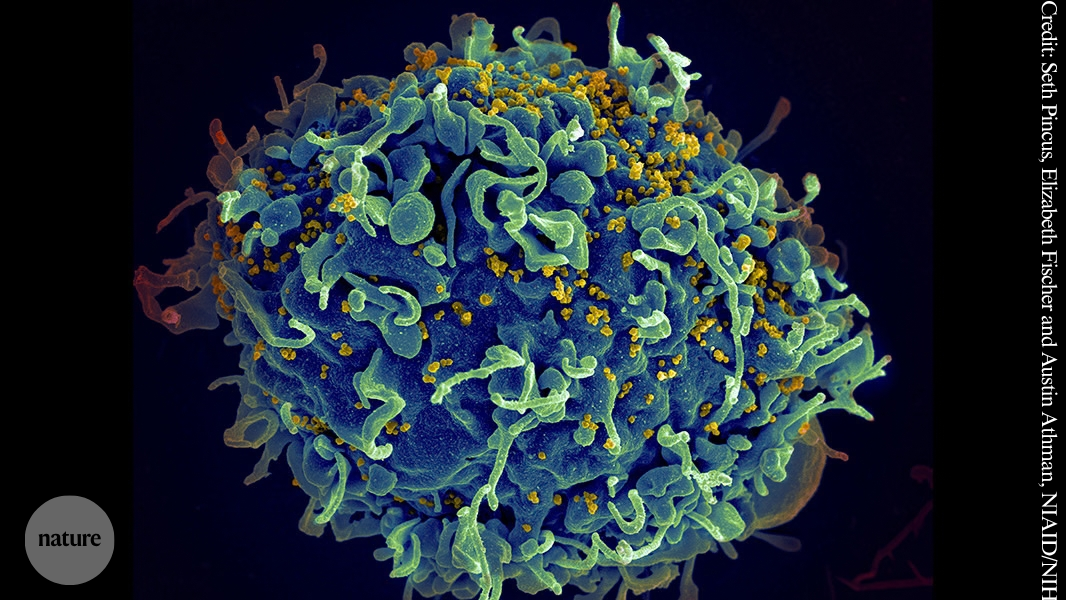 Investigación: Cómo eligieron los artículos sobre enfermedades infecciosas