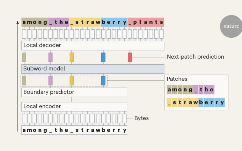 Tecnología: Adaptan modelos para leer letras individuales