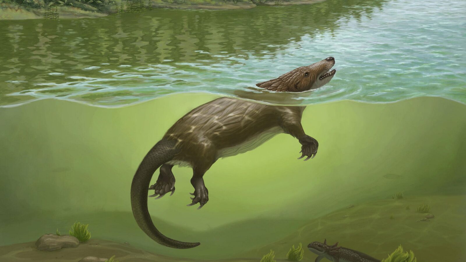 Paleo: Un pariente de los mamíferos nadaba entre dinosaurios
