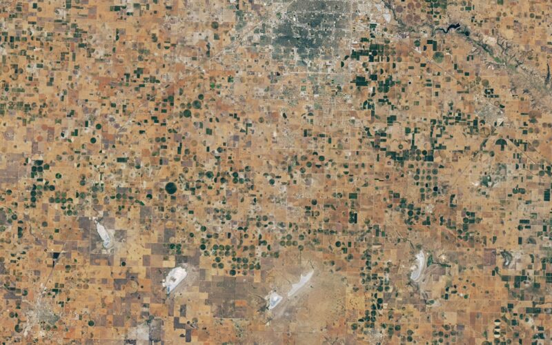 Tierra: La sequía golpea el algodón y las lagunas