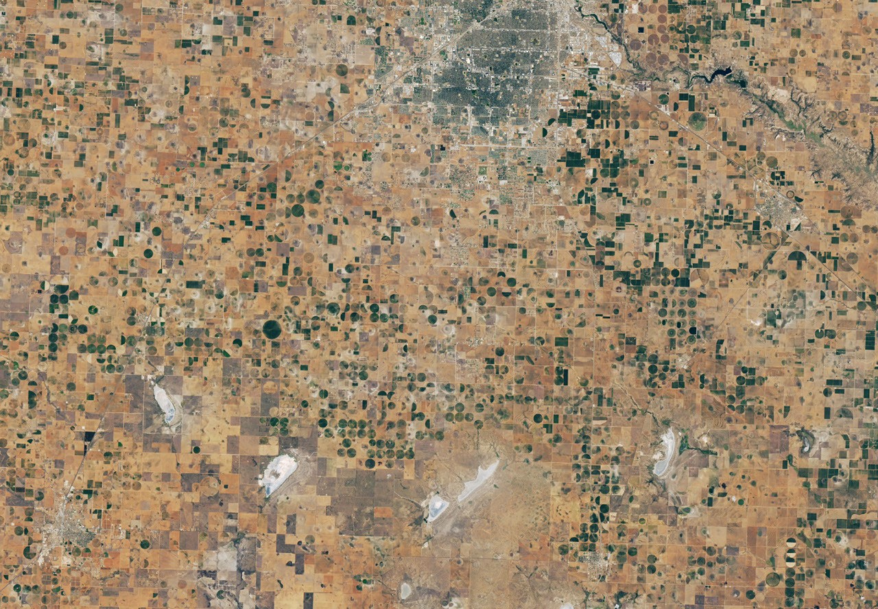 Tierra: La sequía golpea el algodón y las lagunas