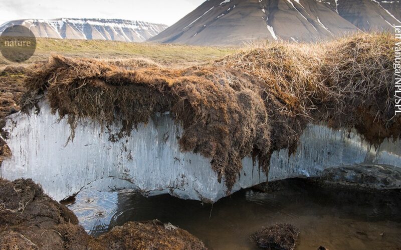 Clima: Mantas de madera a prueba sobre permafrost