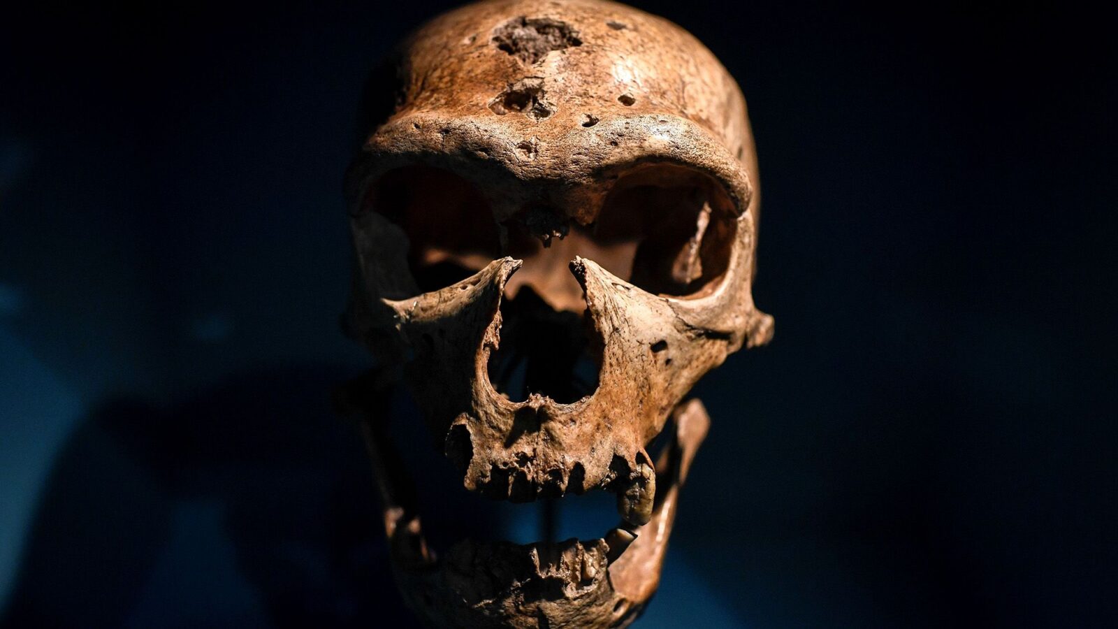 Paleo: Nuestros temores moldean el relato sobre los neandertales