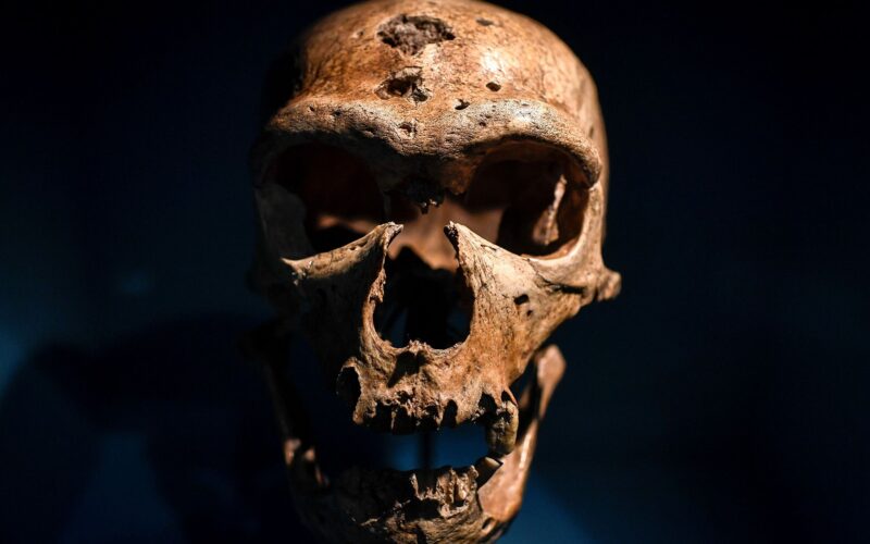Paleo: Nuestros temores moldean el relato sobre los neandertales