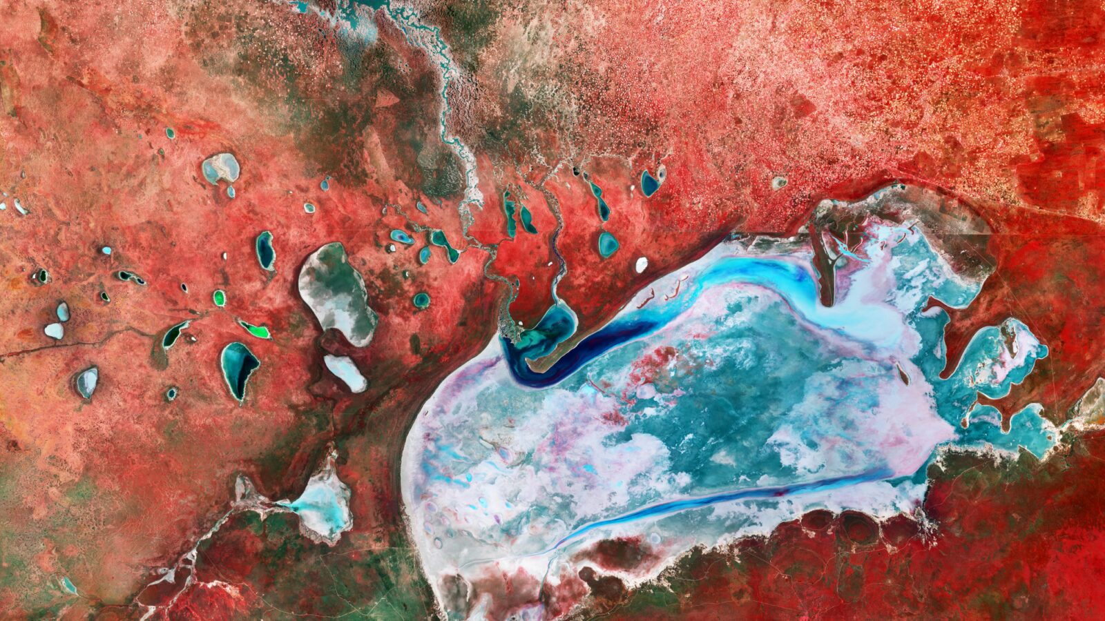 Tierra: El salar de Etosha visto en falso color
