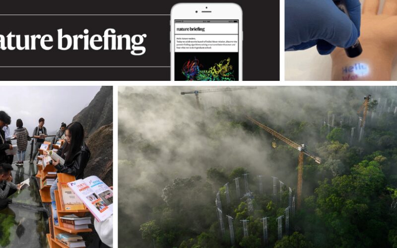 Clima: La Amazonía pondrá a prueba el efecto del CO₂