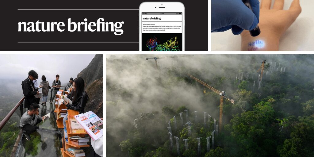 Clima: La Amazonía pondrá a prueba el efecto del CO₂