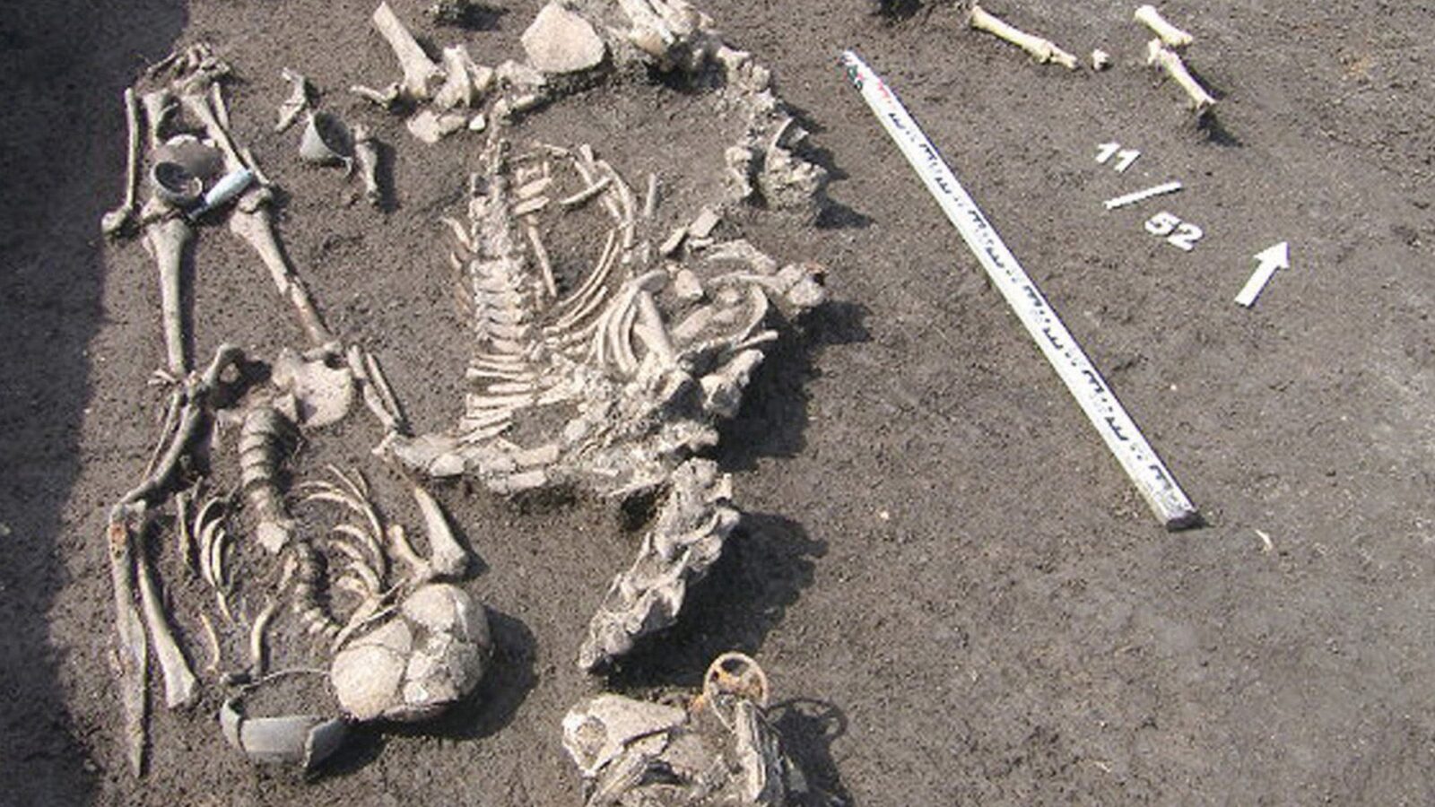 Arqueología: Una tumba meota reúne oro, armas y sacrificios