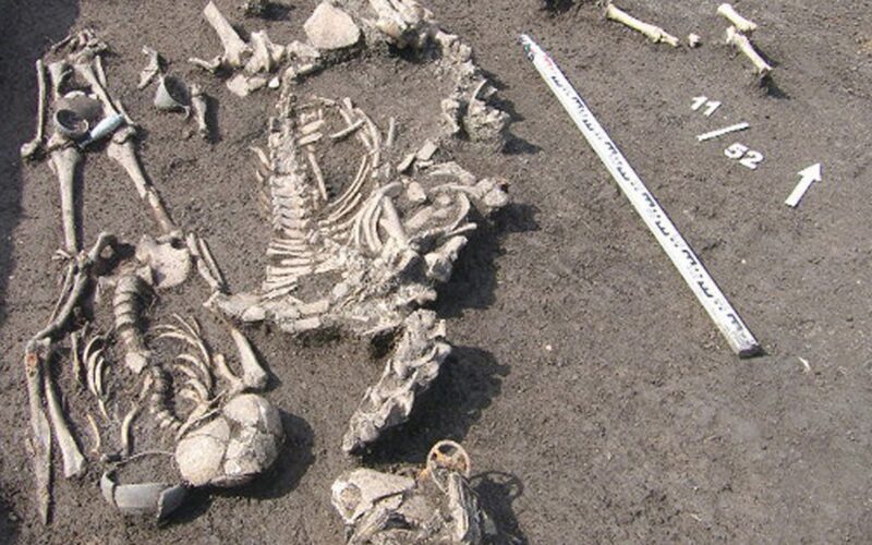 Arqueología: Una tumba meota reúne oro, armas y sacrificios