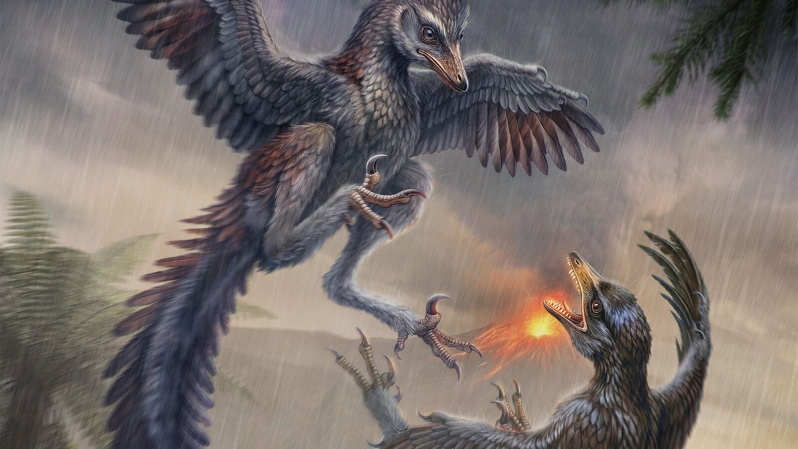 Paleo: Un ave jurásica que corría y cazaba con garras de rapaz