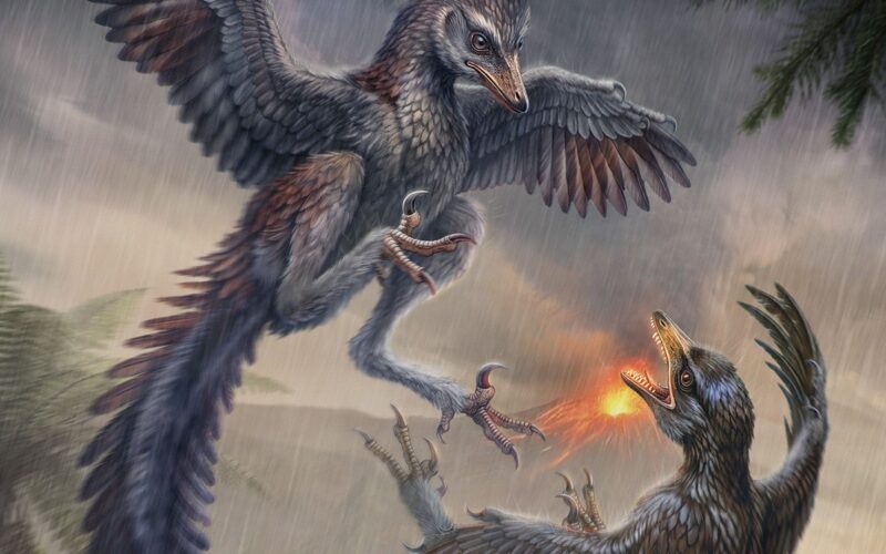 Paleo: Un ave jurásica que corría y cazaba con garras de rapaz