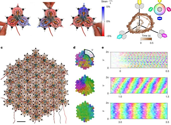 Física: Las ondas crecen hasta sincronizar todo el material