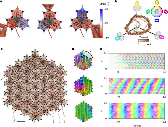 Física: Las ondas crecen hasta sincronizar todo el material