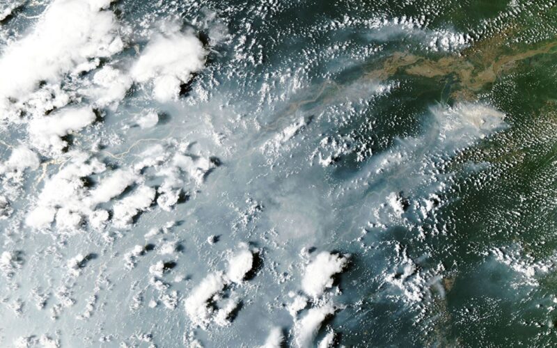 Clima: La sequía favorece los incendios en la Amazonía