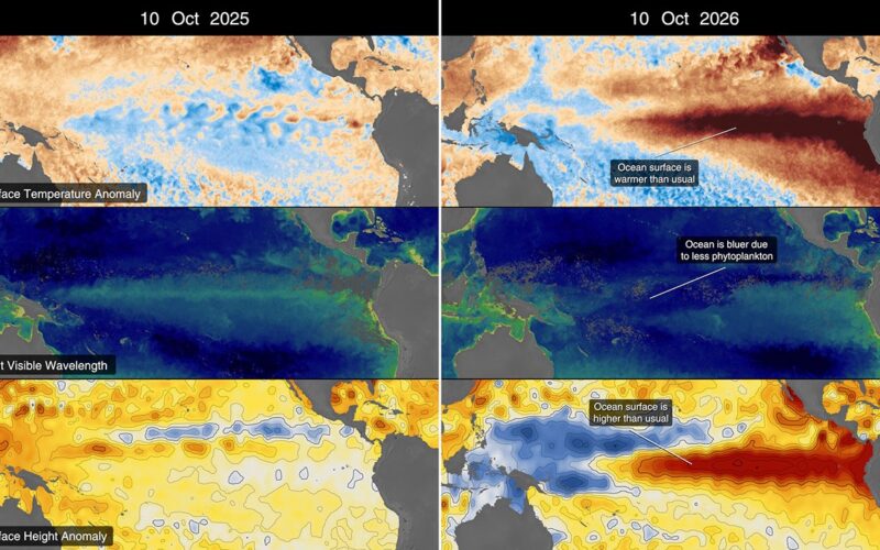 Clima: El Niño calienta y vuelve más azul el Pacífico
