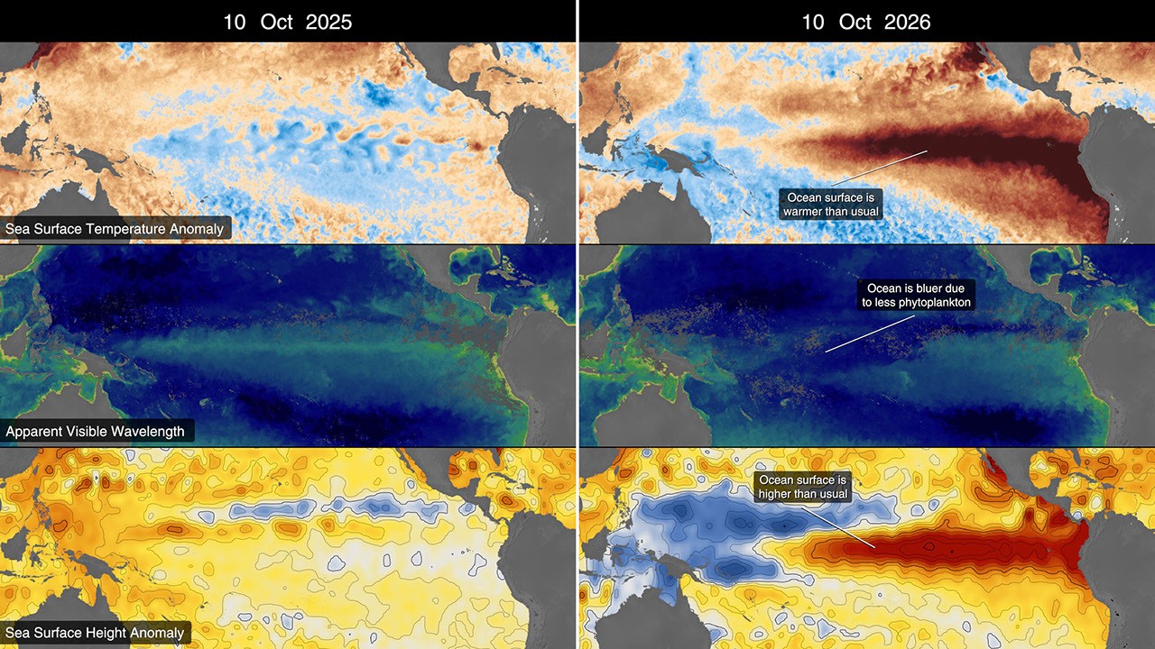 Clima: El Niño calienta y vuelve más azul el Pacífico