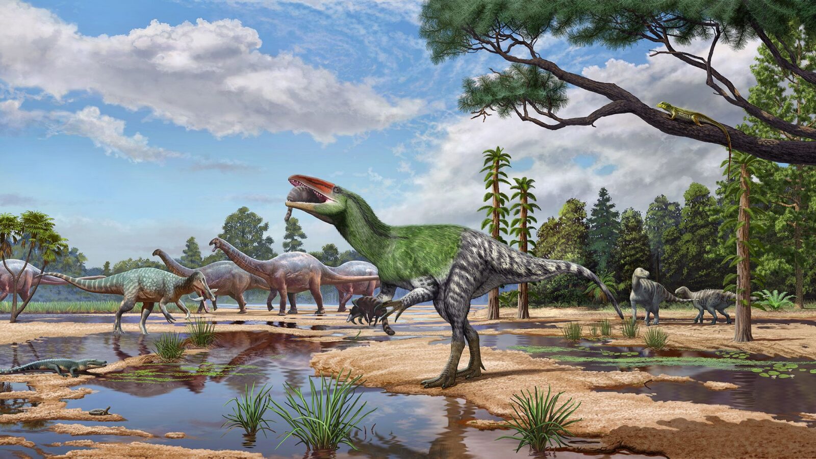 Paleo: Un fósil olvidado revela un megaraptor europeo