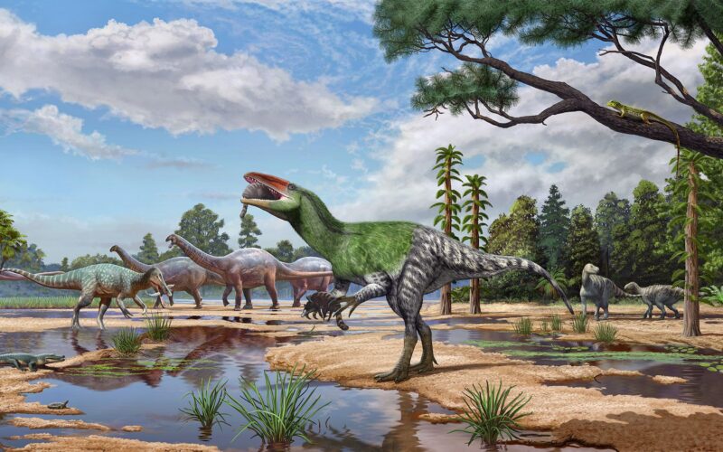 Paleo: Un fósil olvidado revela un megaraptor europeo