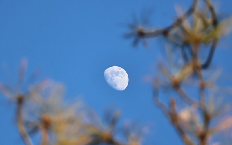 Espacio: La Luna también se deja ver de día