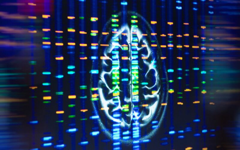 Salud: Una pista sobre APOE4 y la grasa cerebral