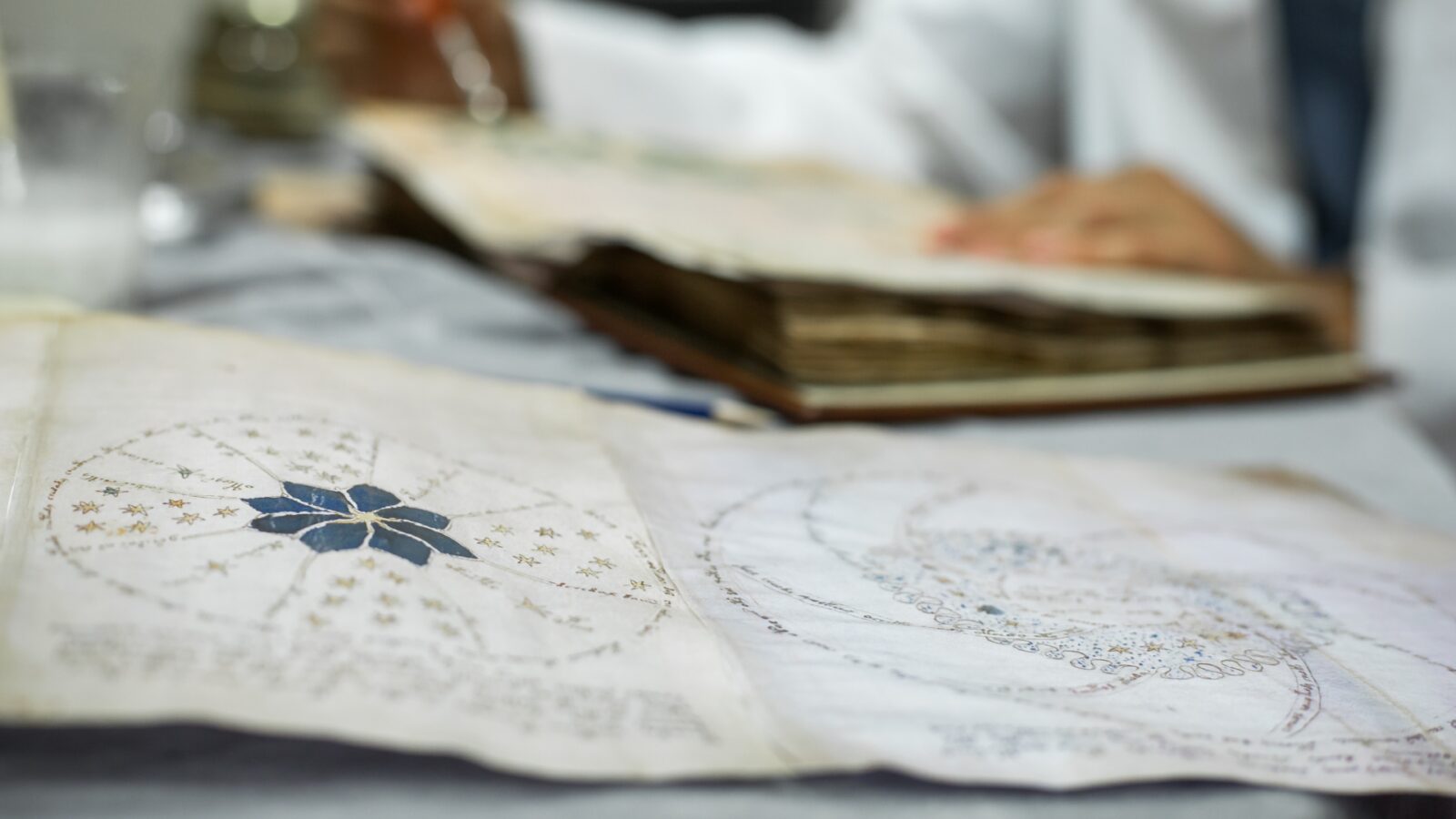 Manuscritos: El Voynich podría tener sus páginas desordenadas