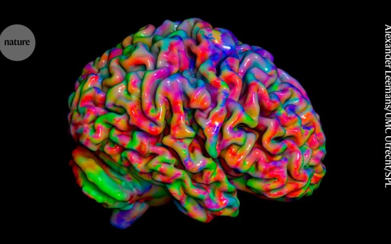Neurociencia: Un mapa distingue cómo sentimos el cuerpo