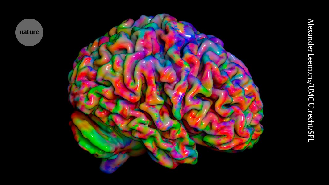 Neurociencia: Un mapa distingue cómo sentimos el cuerpo