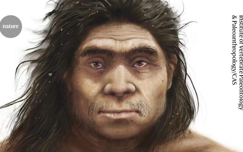 Paleo: Las proteínas perfilan el rostro de los denisovanos