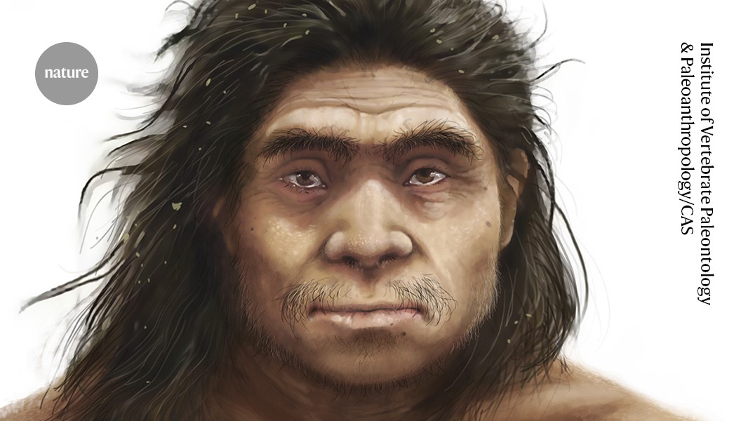 Paleo: Las proteínas perfilan el rostro de los denisovanos