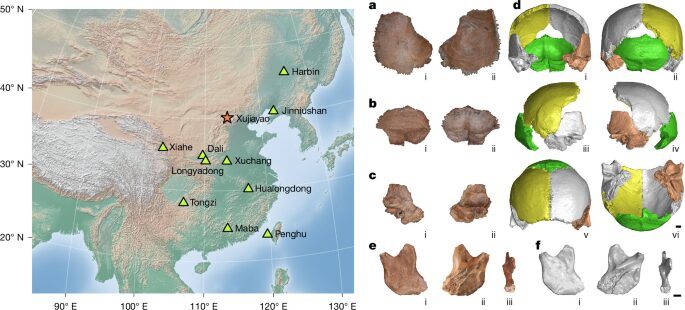 Paleo: Proteínas antiguas vinculan fósiles chinos con denisovanos