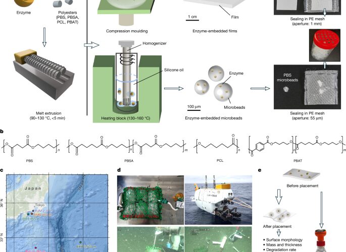 Química: Enzimas aceleran la degradación de plásticos marinos