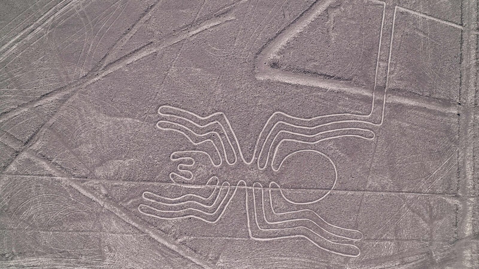 Arqueología: Las líneas de Nazca pudieron tener varios usos