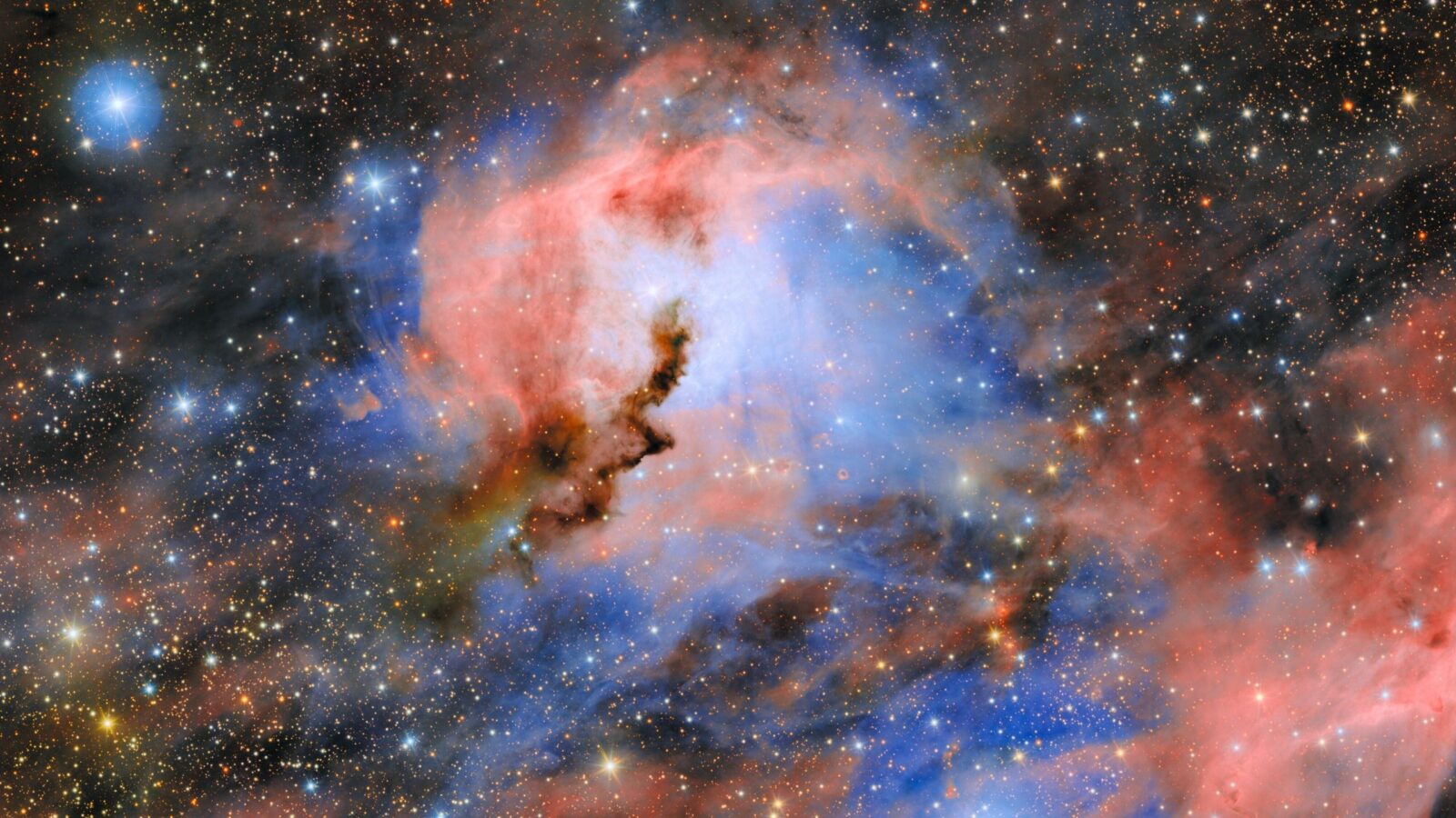 Espacio: Tres estrellas moldean el ojo de una gaviota