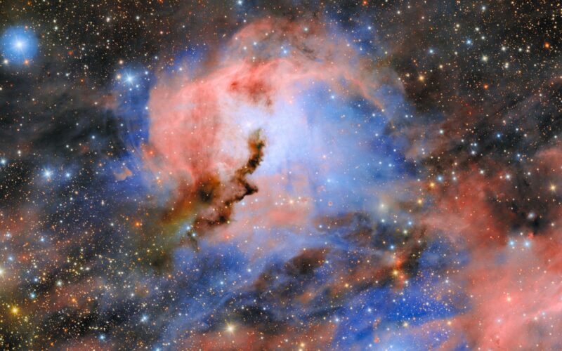 Espacio: Tres estrellas moldean el ojo de una gaviota