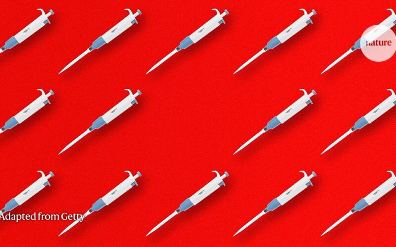 Laboratorio: Cómo evitar que desaparezcan tus herramientas